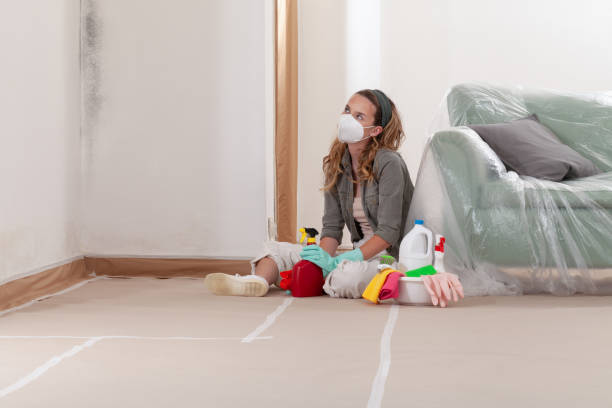 Reliable Mold Remediation contractor in Jonestown, TX by WQB Mold Removal